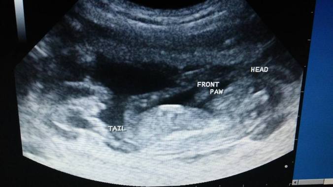 13151958_10102367626314953_1363755393431839332_n