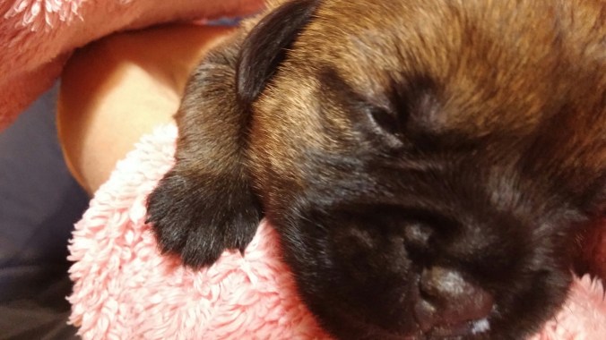 wp-1465817737964 image